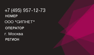 4959571273